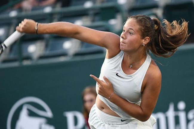 的世界里 的世界里