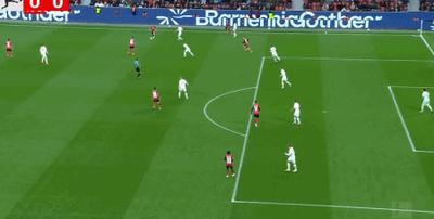 球迷们可以 球迷们可以