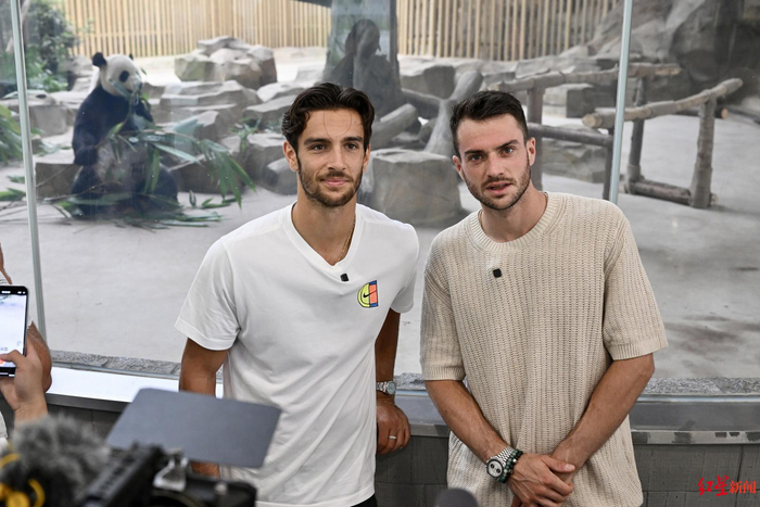 米兰应该引 米兰应该引