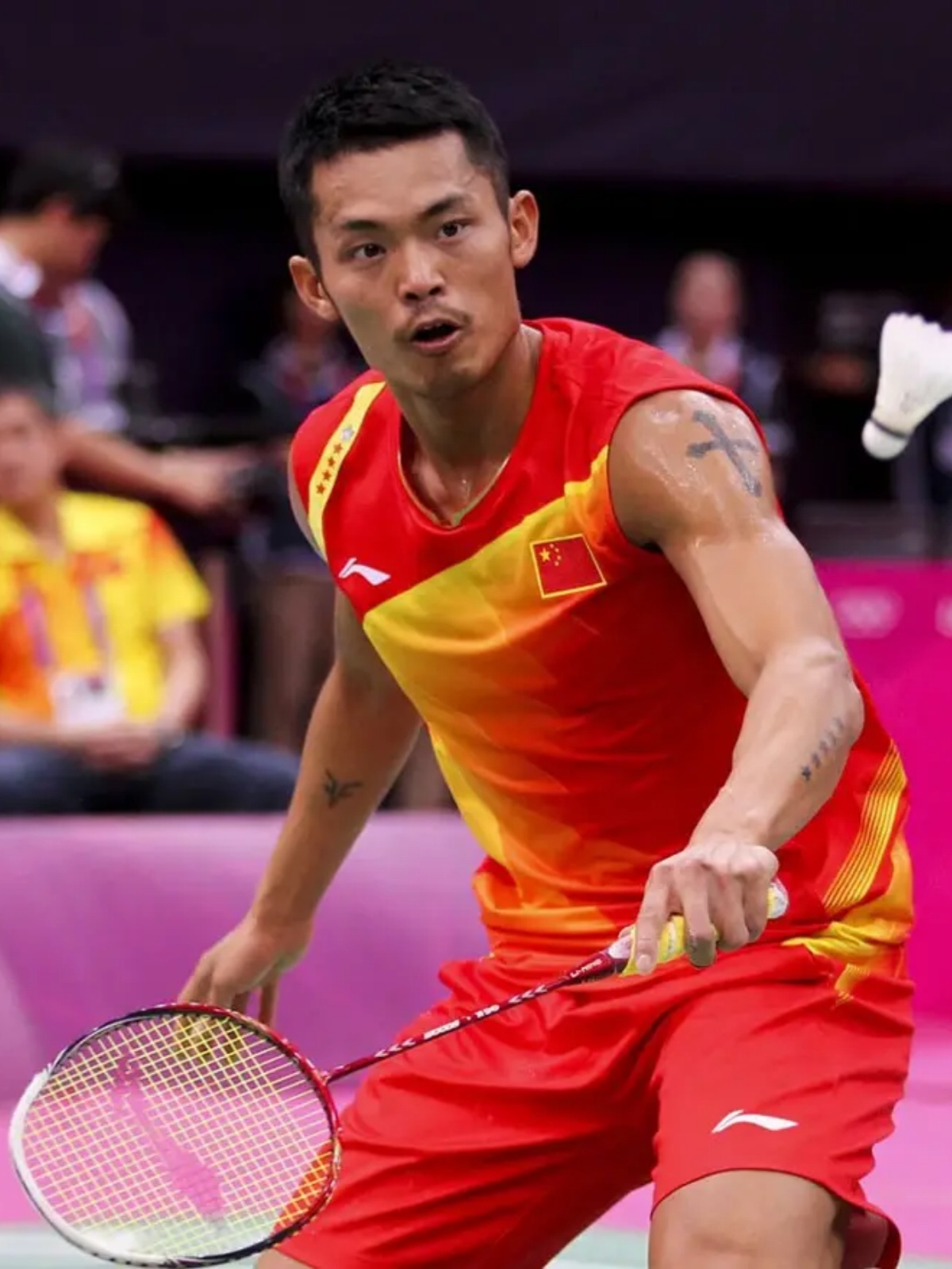 力的展现与 力的展现与